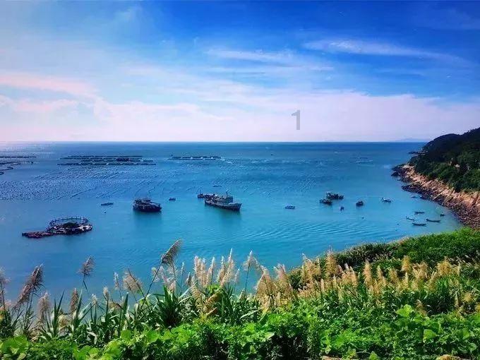 探索灵感,发现答案,尽在电影《哥,你好》总票房破亿,为什么“你好”系列的电影都这么叫卖呢?
